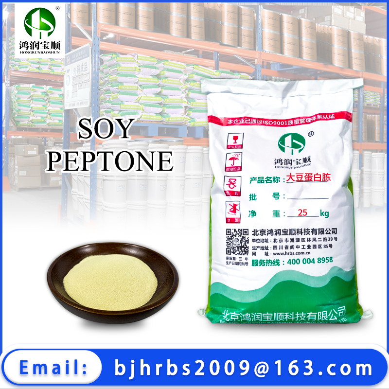 Soya Peptone