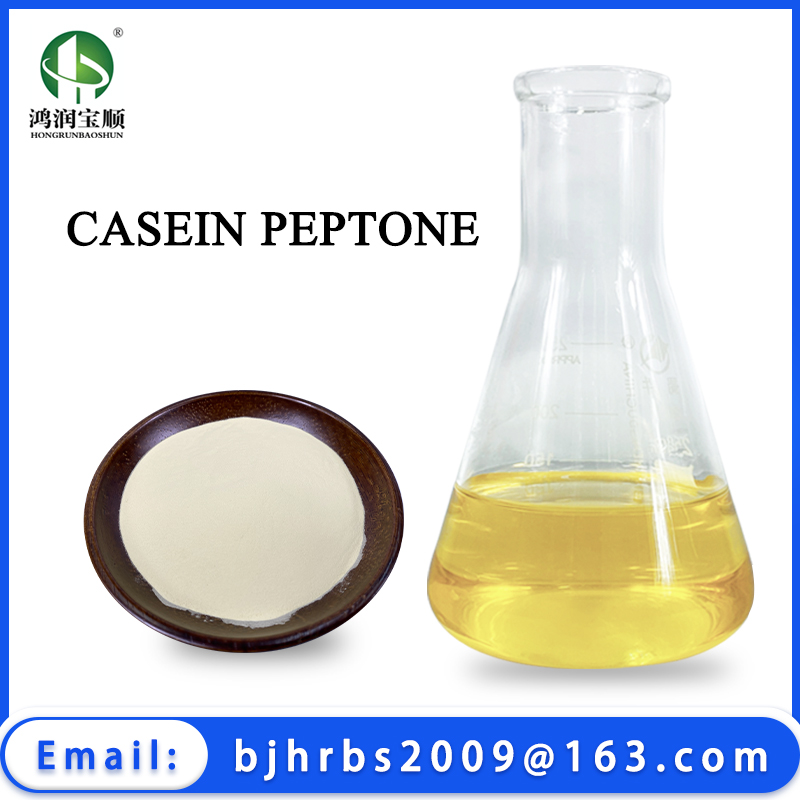 Casein Peptone