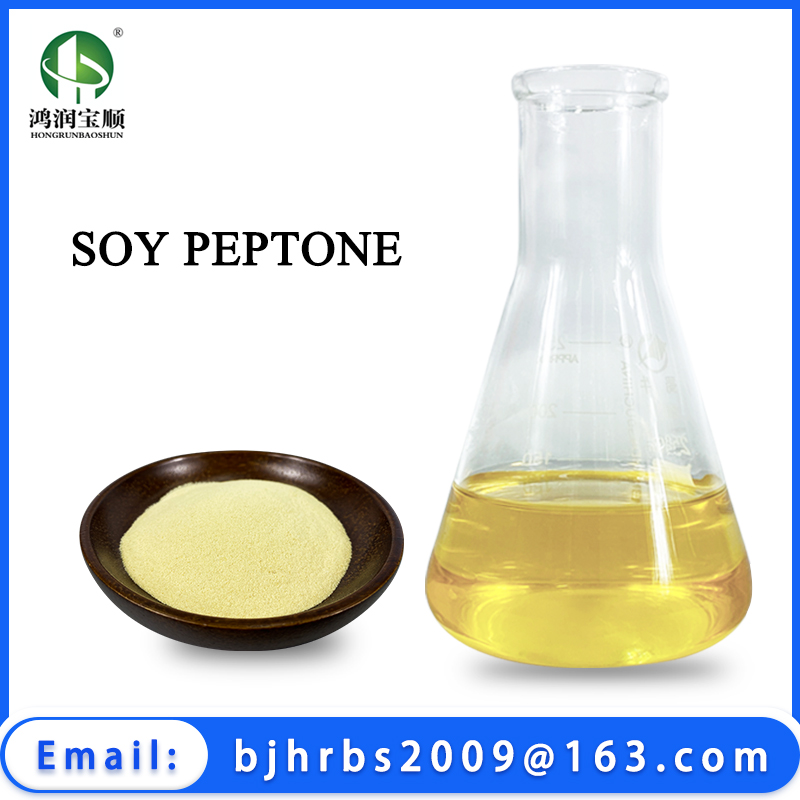 Soya Peptone